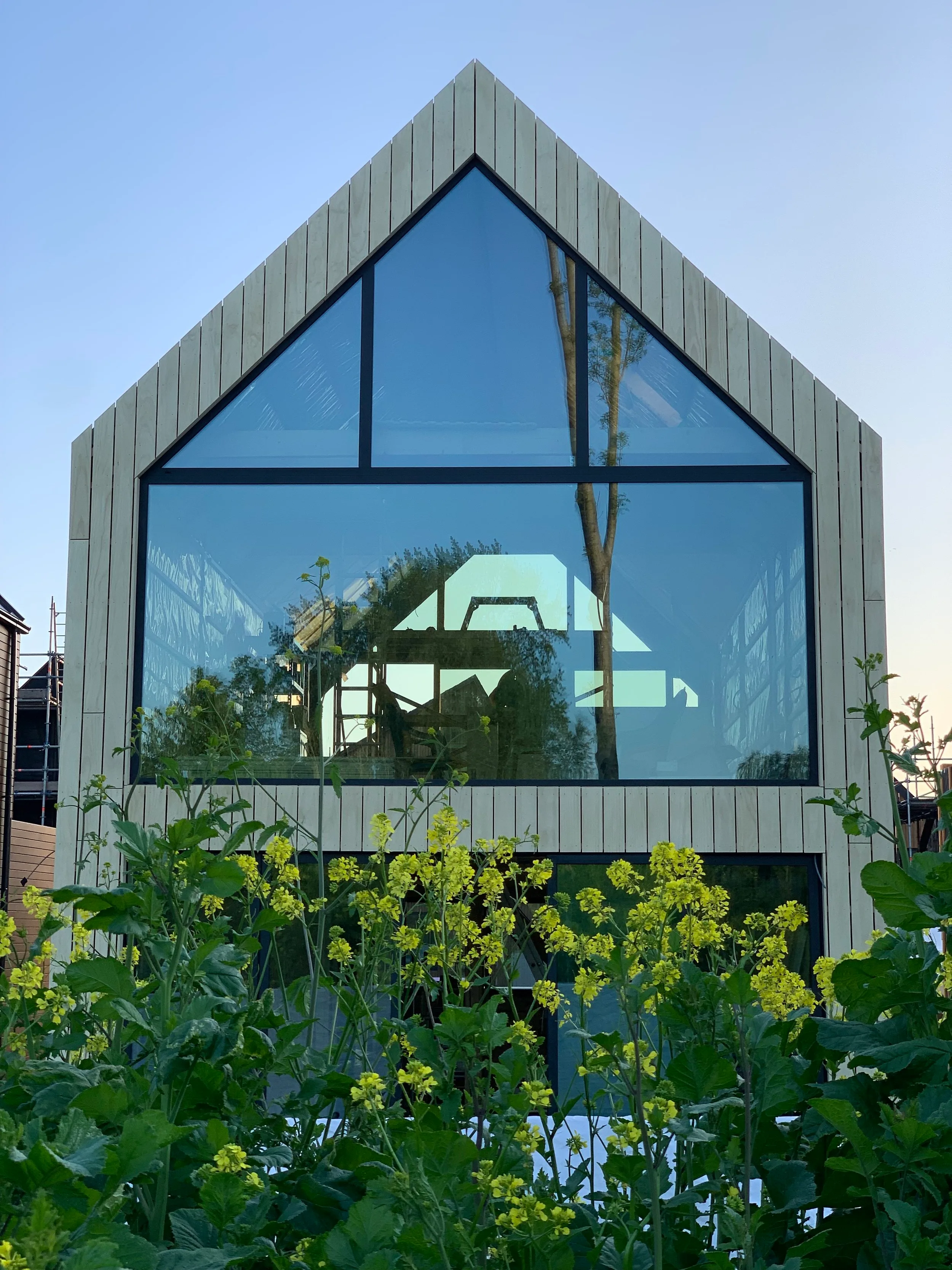 IMG_5953.jpg