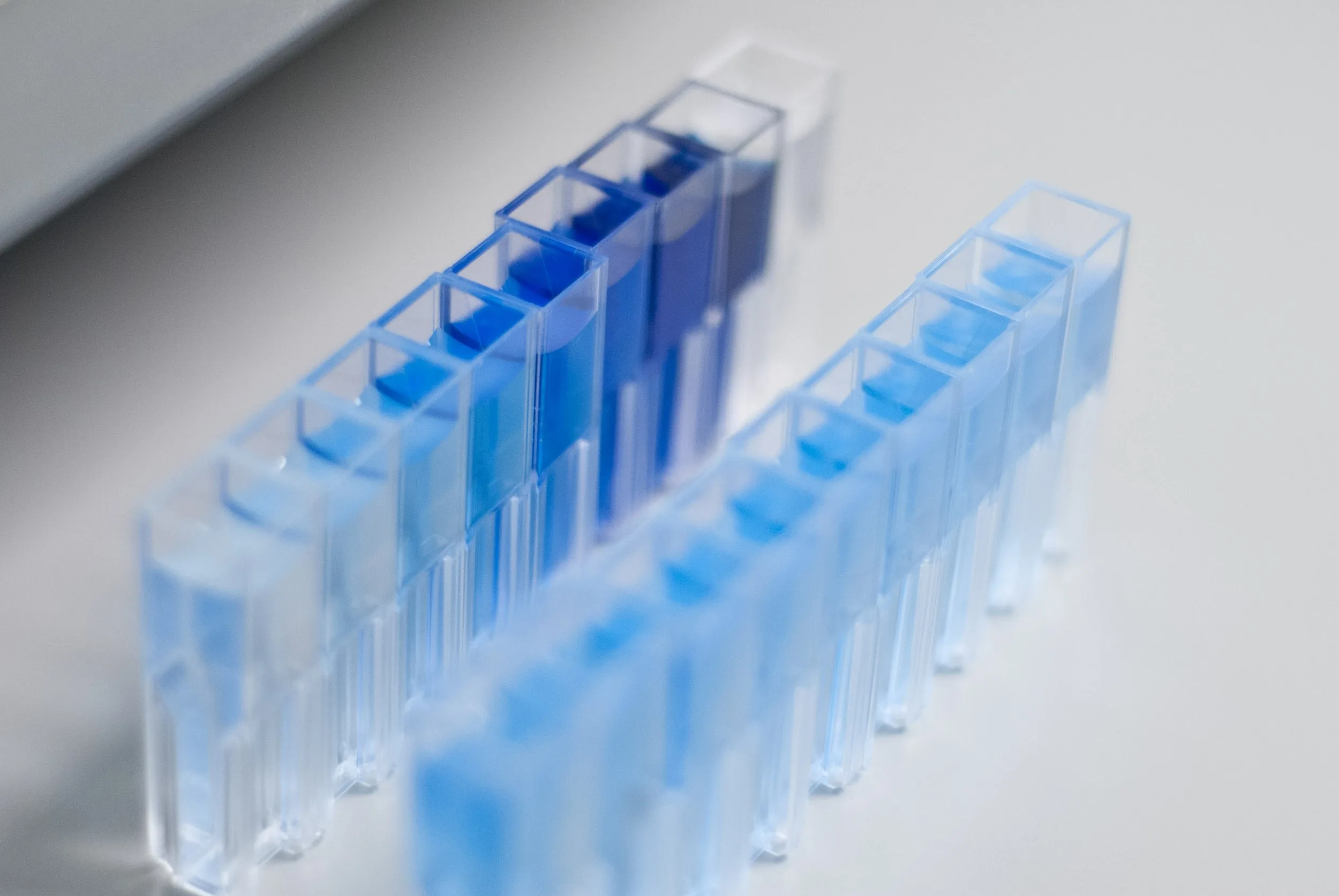 lab wetsus-6188.jpg